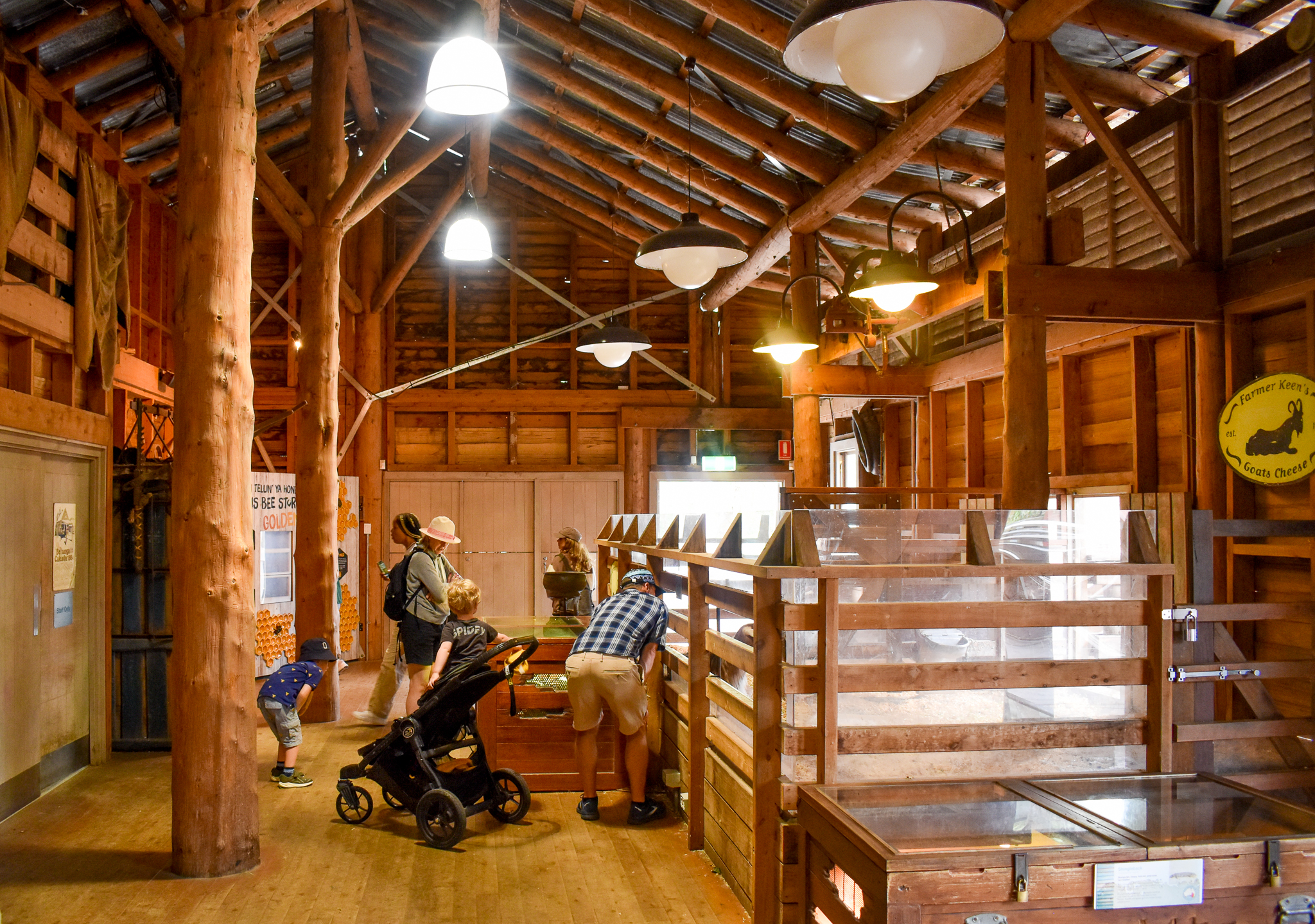 Backyard to Bush - Shearing Shed