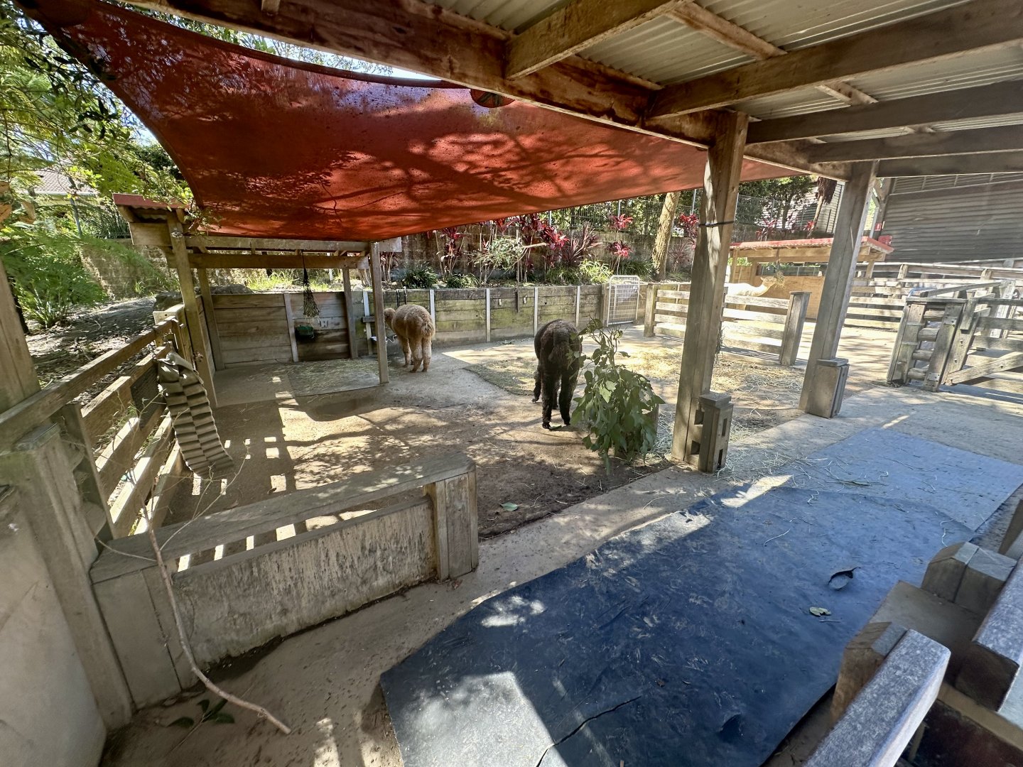 Backyard to Bush - Stables