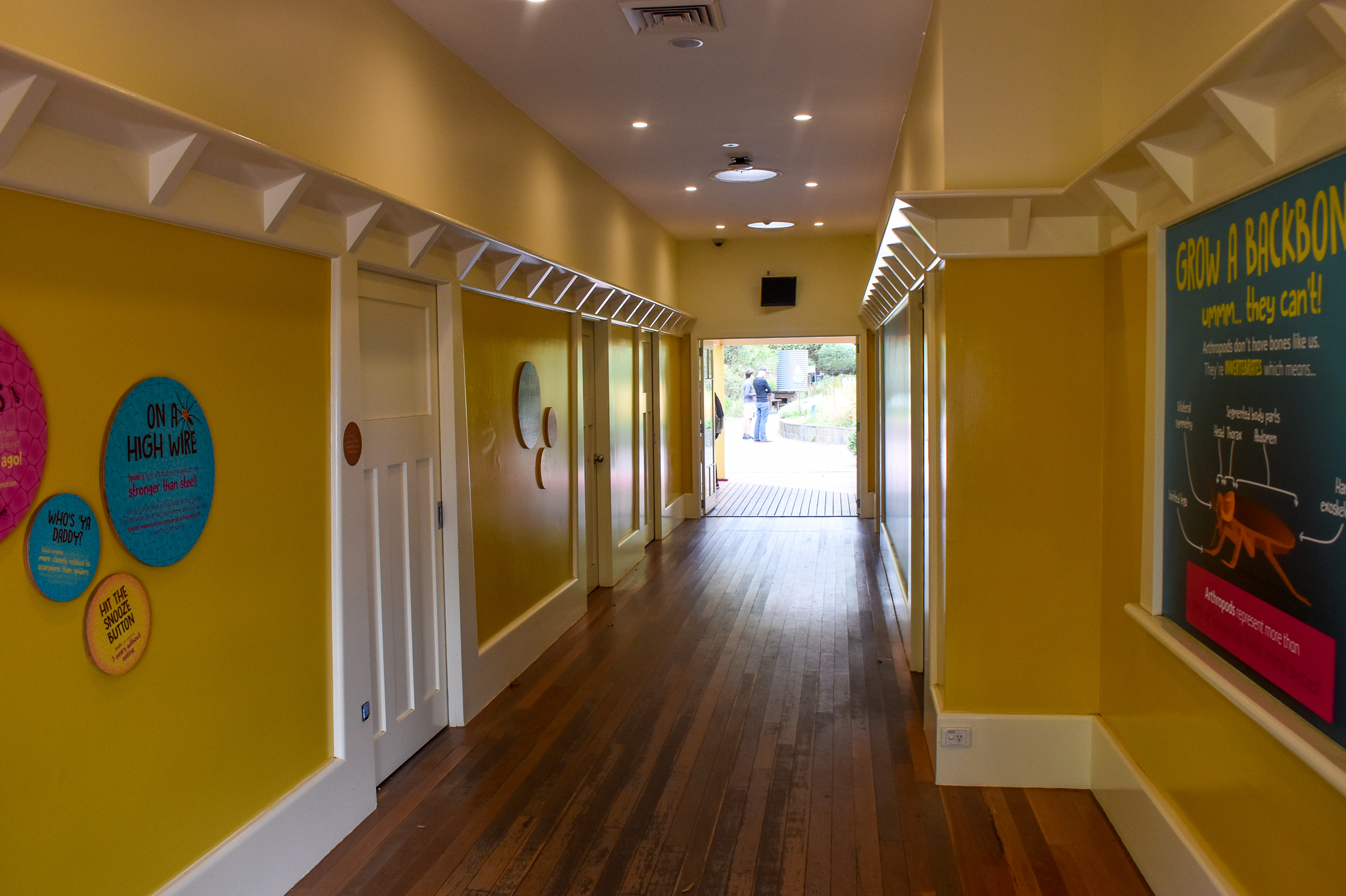 Backyard to Bush - The House