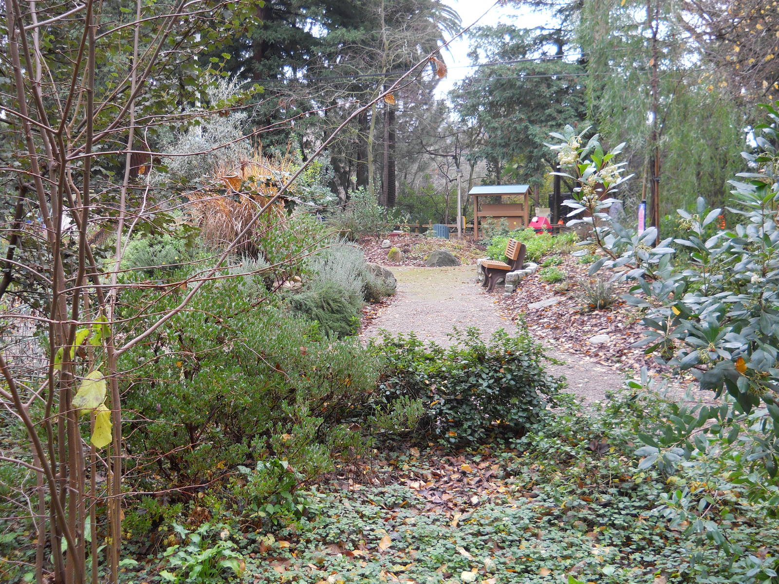 Backyard wildlife habitat demonstration garden