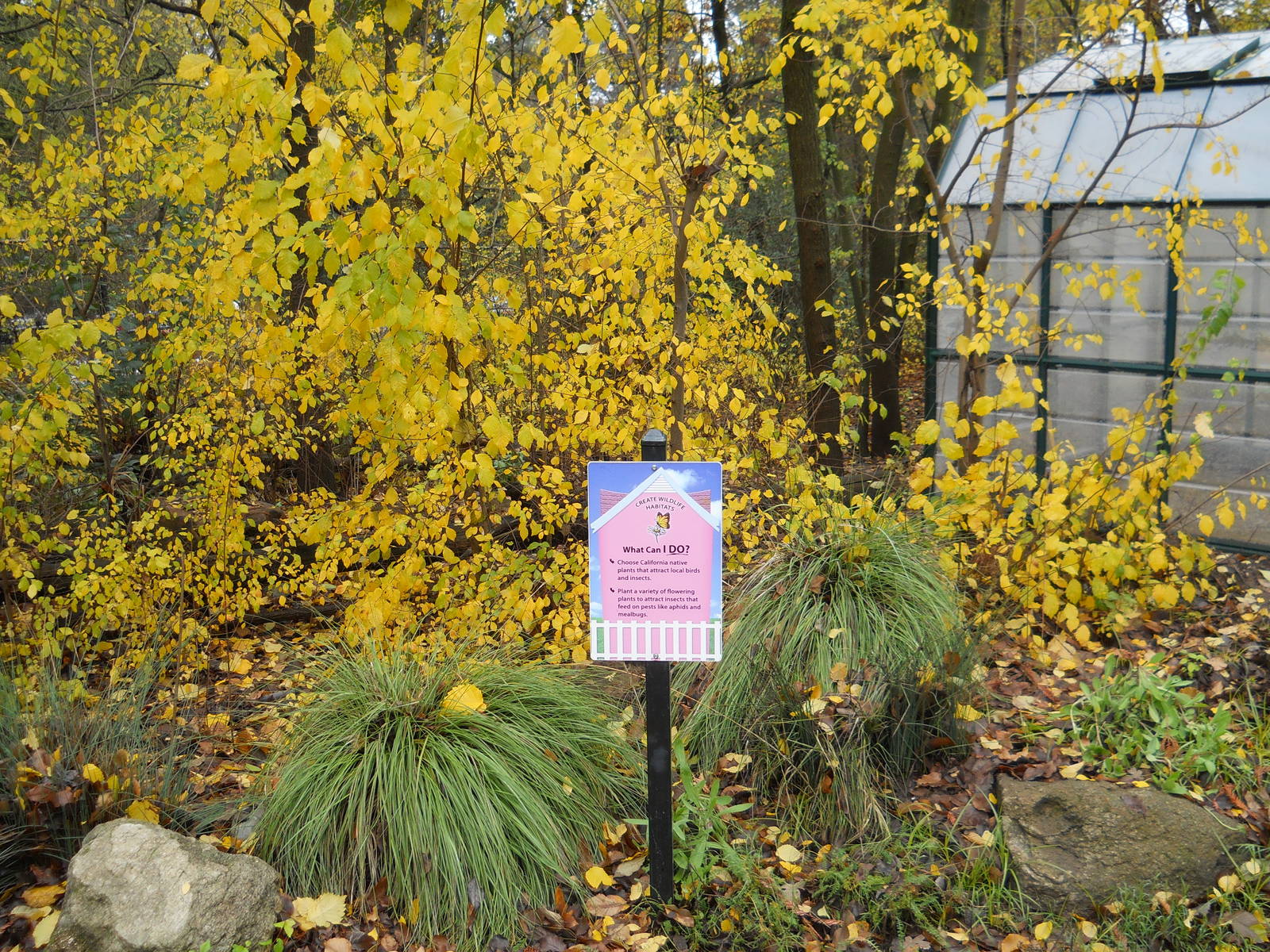 Backyard wildlife habitat demonstration garden