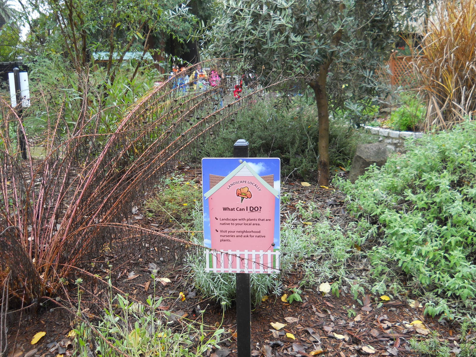 Backyard wildlife habitat demonstration garden