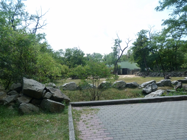 Bacterian camel enclosure