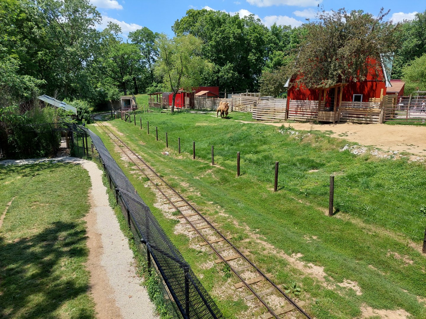 Bactrian Camel and Cheetah Exhibits