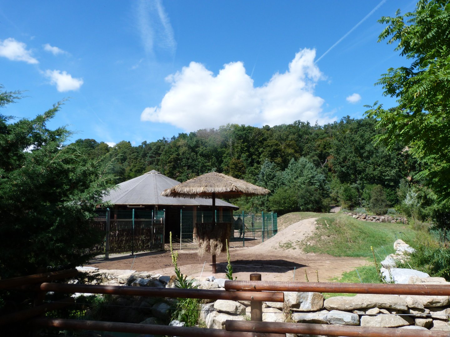 Bactrian camel and Kulan exhibit -Zoo Plzeň (2025)