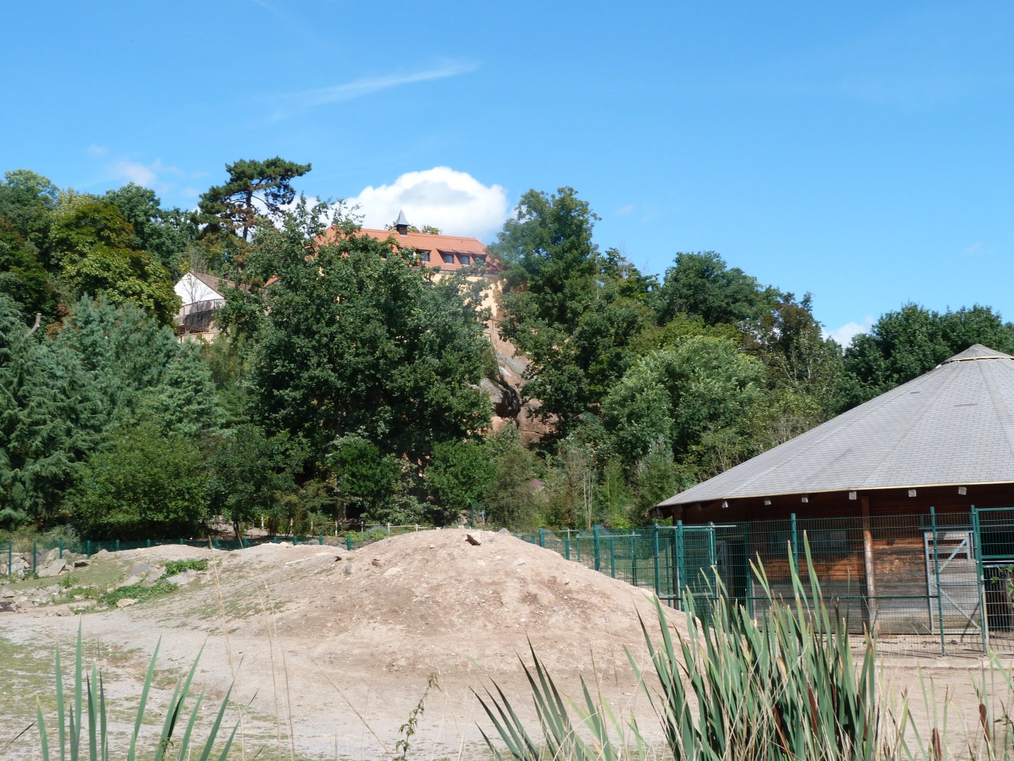 Bactrian camel and Kulan exhibit -Zoo Plzeň (2025)