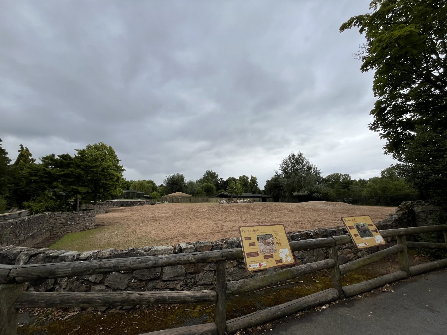Bactrian camel and Persian onager enclosure 29.6.24