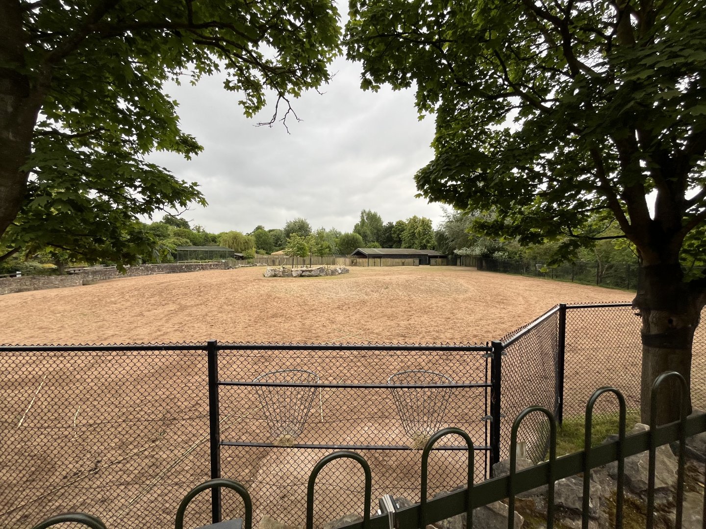 Bactrian camel and Persian onager enclosure 29.6.24