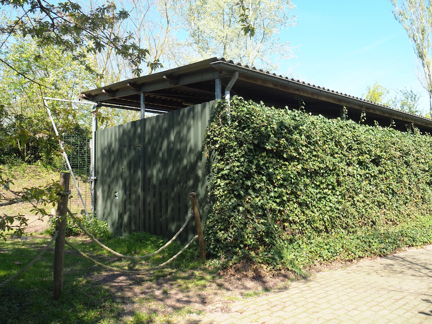 Bactrian camel barn, 2023-04-30
