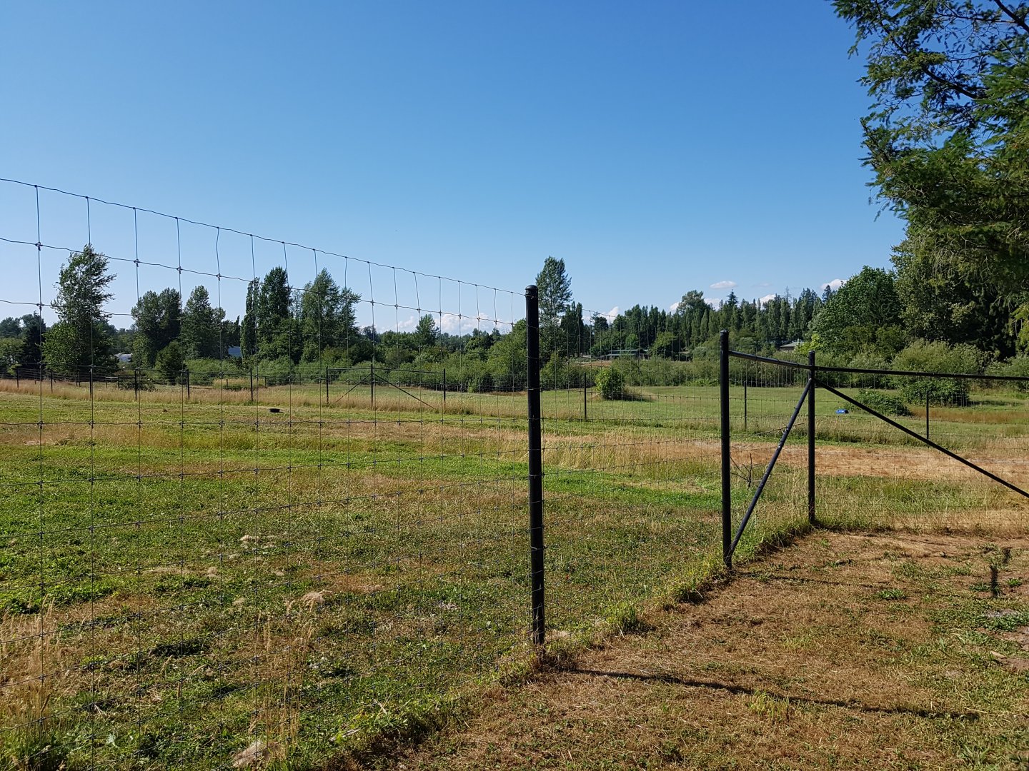 Bactrian Camel & Dromedary Camel Exhibit