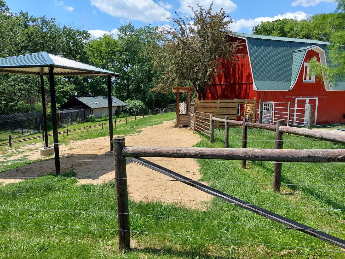 Bactrian Camel Enclosure Overview