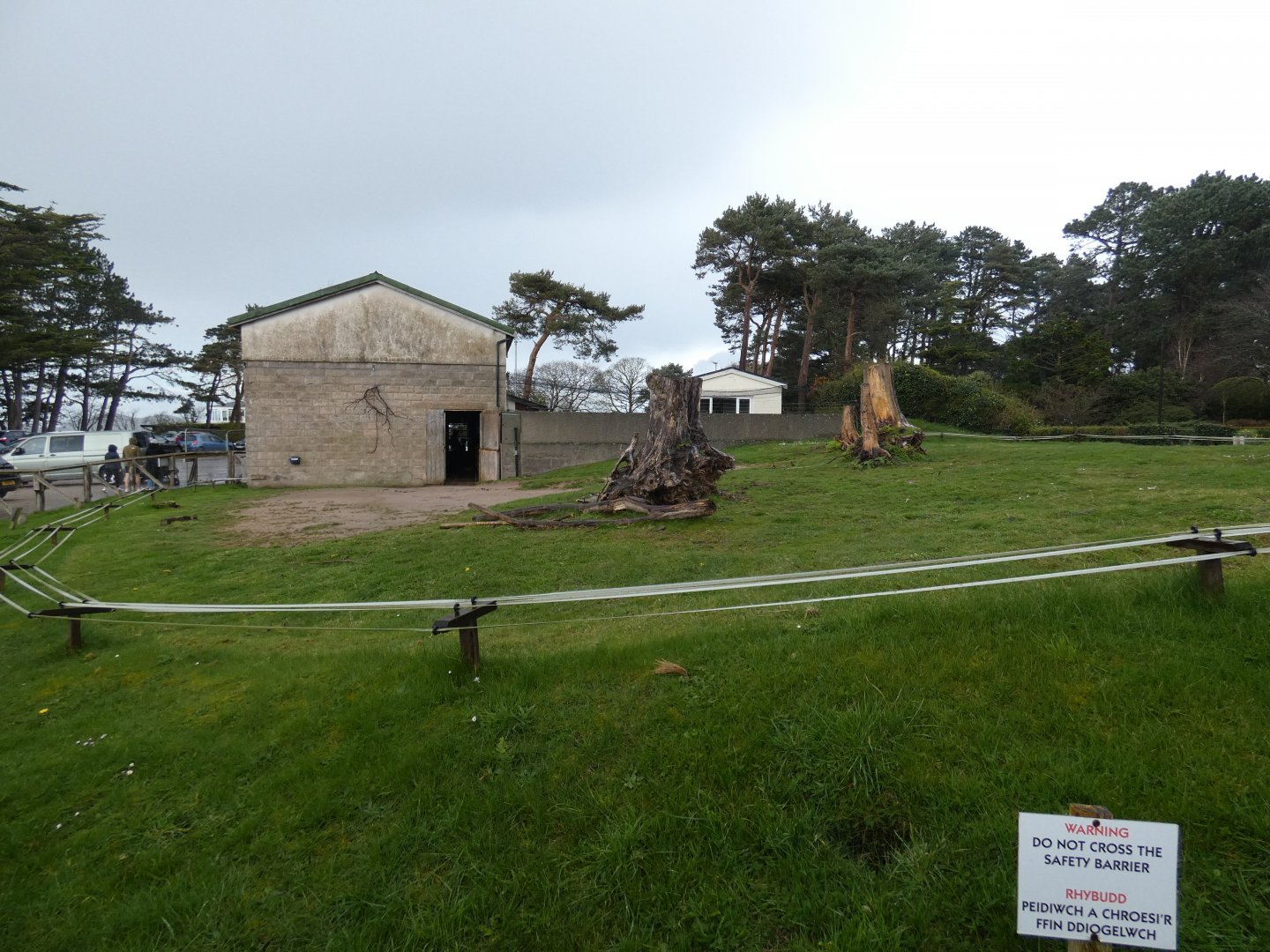 Bactrian camel enclosure