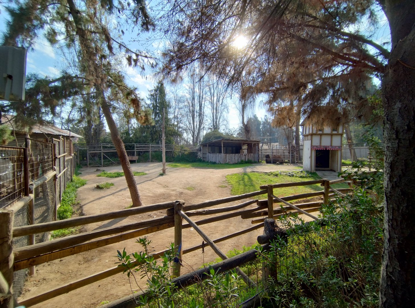 Bactrian camel exhibit - Buin zoo
