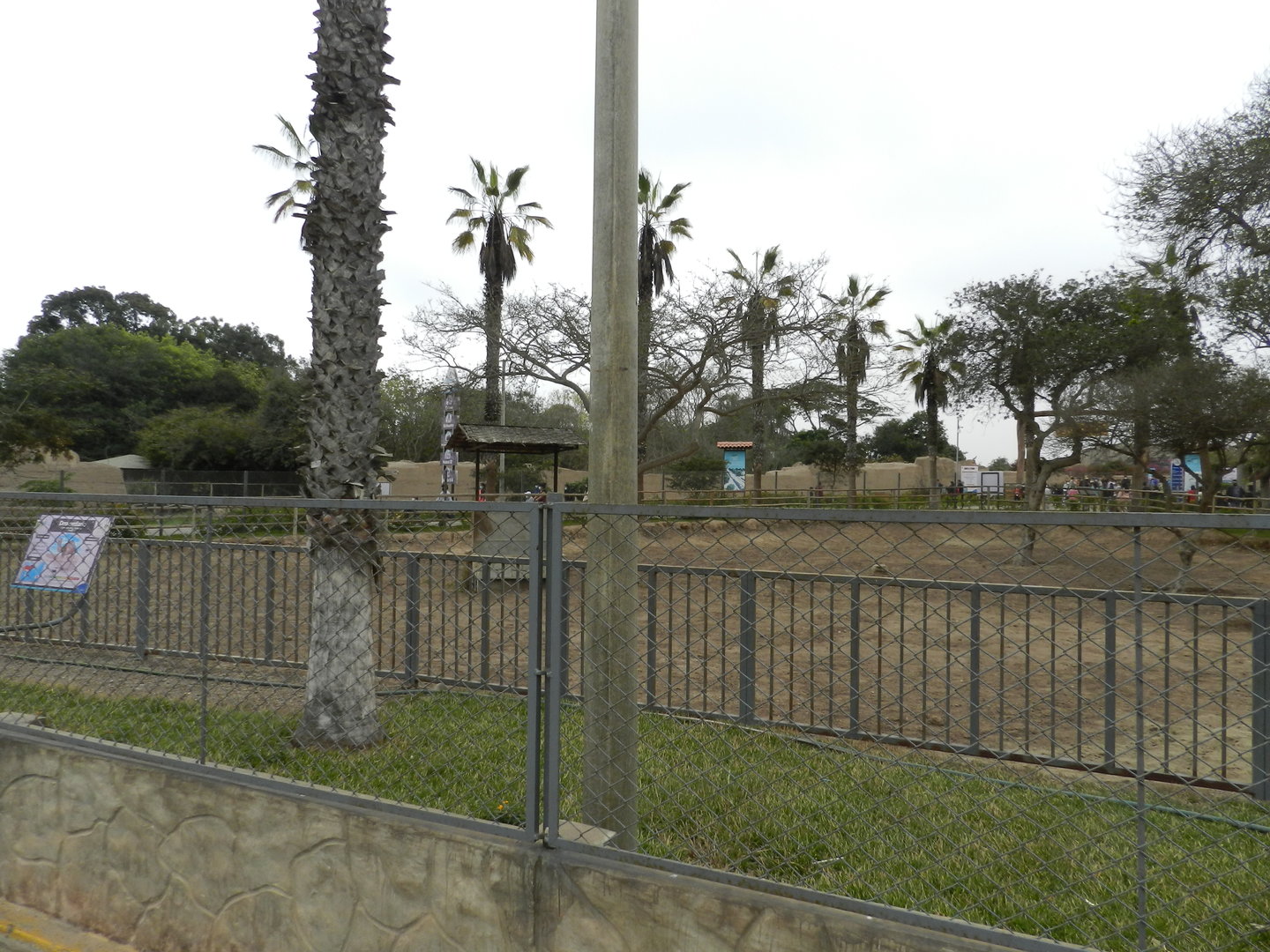 Bactrian camel exhibit - Parque de Las Leyendas