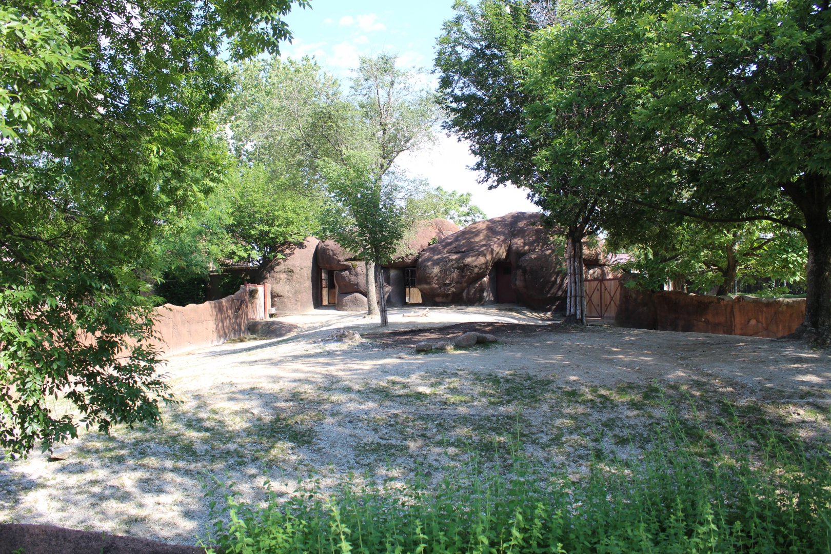 Bactrian Camel Exhibit - Red Rocks