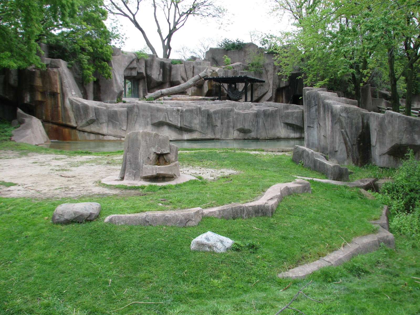 Bactrian Camel Exhibit with Asiatic Black Bear Exhibit in background