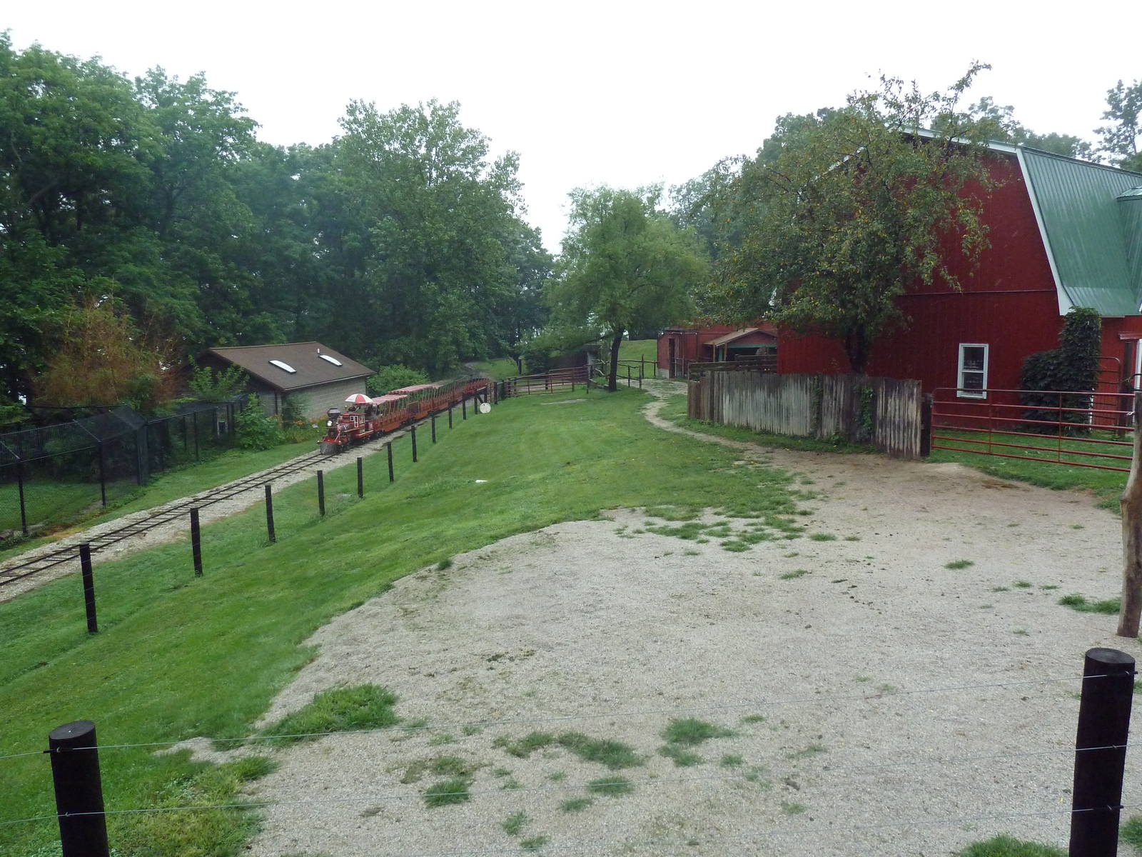 Bactrian Camel Exhibit + Zoo Train