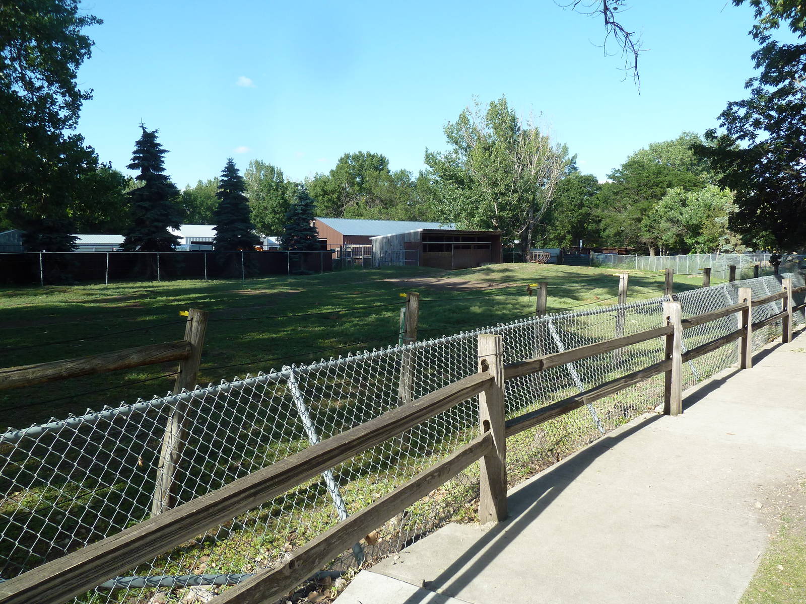 Bactrian Camel Exhibit