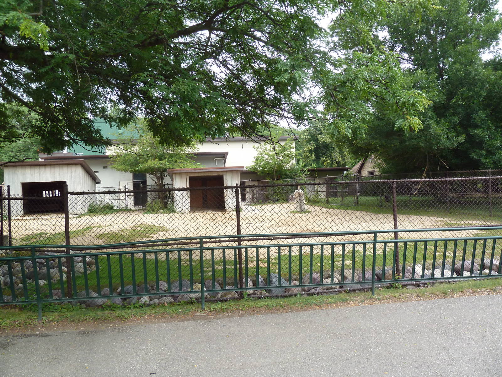 Bactrian Camel Exhibit