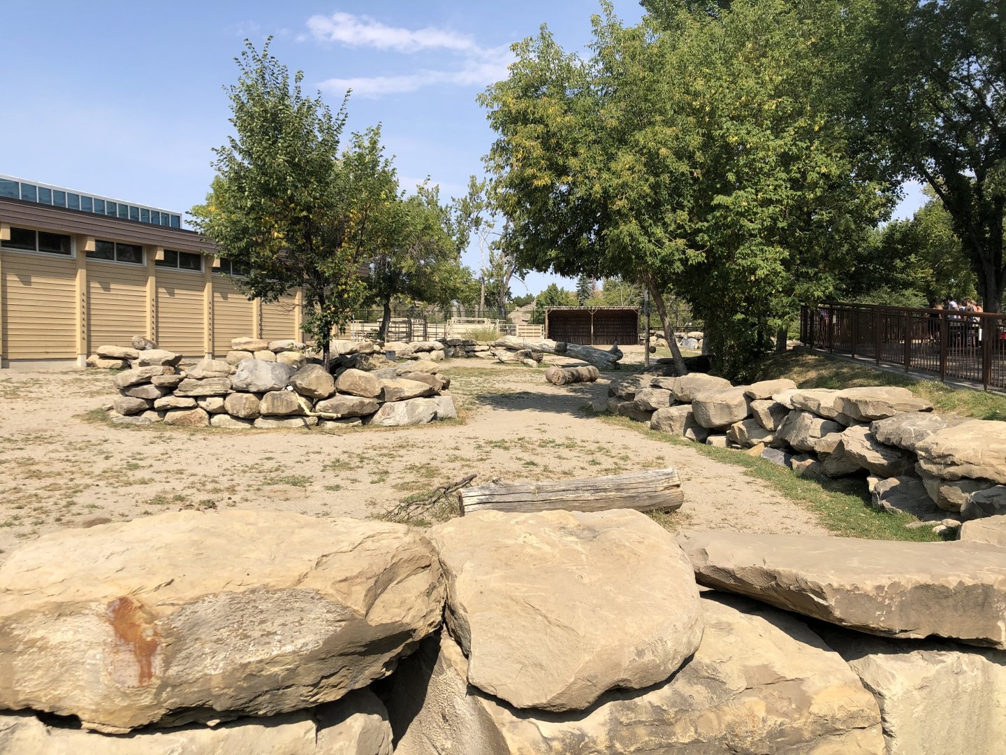 Bactrian Camel Exhibit