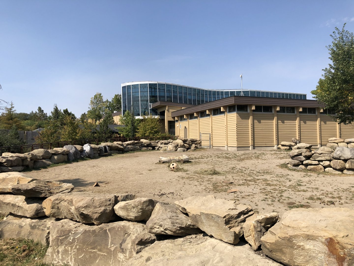 Bactrian Camel Exhibit