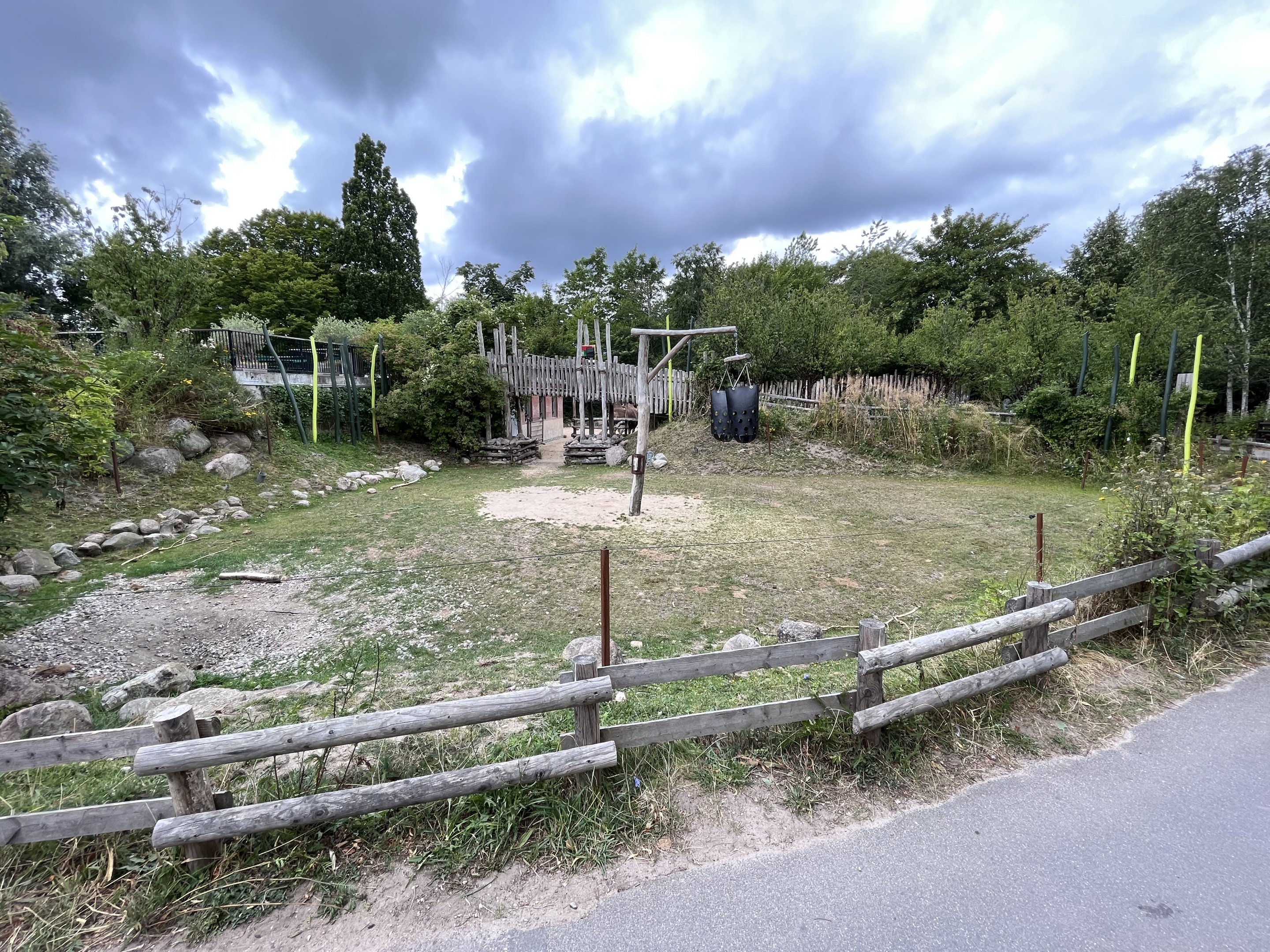 Bactrian Camel Exhibit