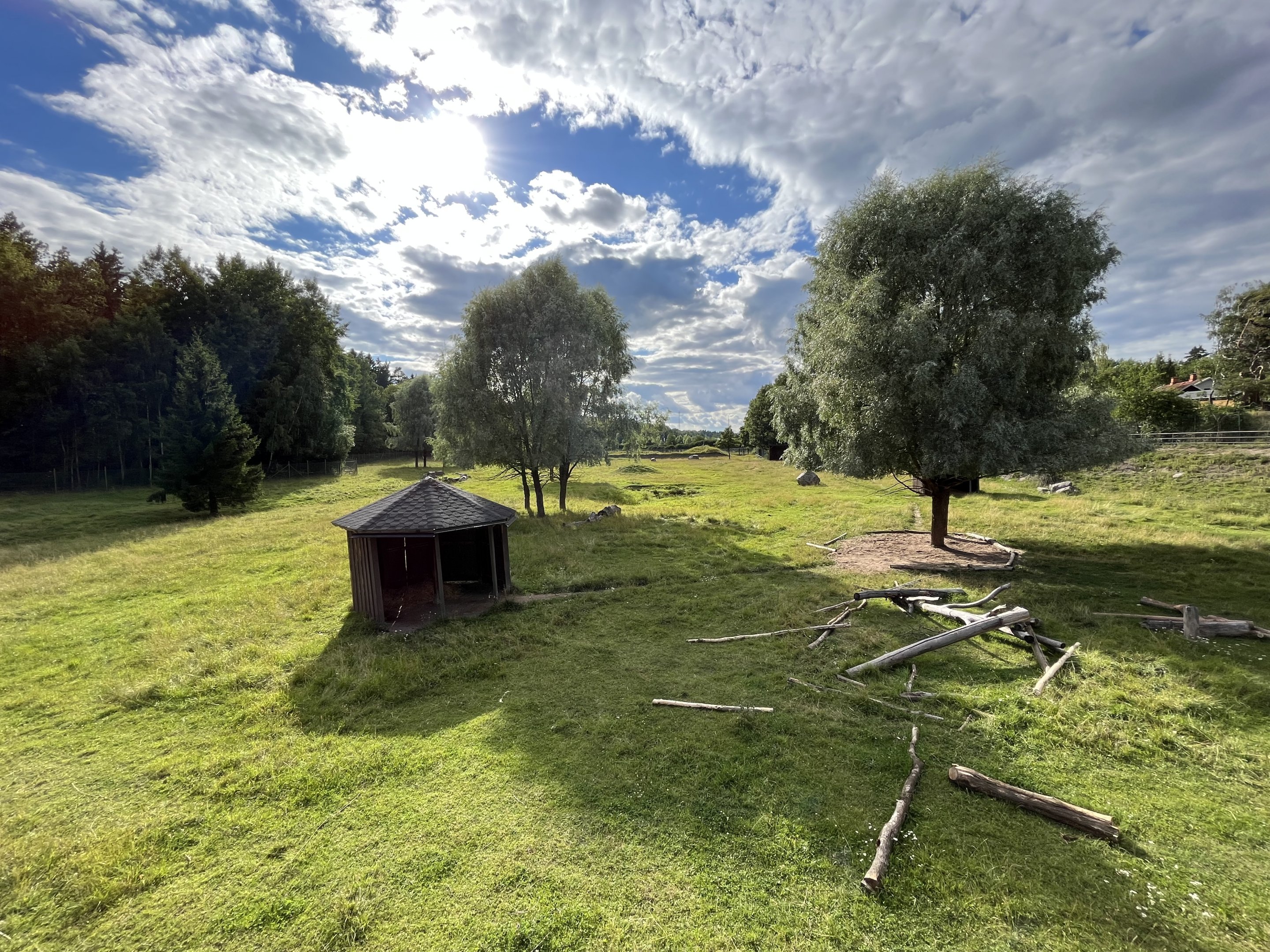 Bactrian Camel Exhibit