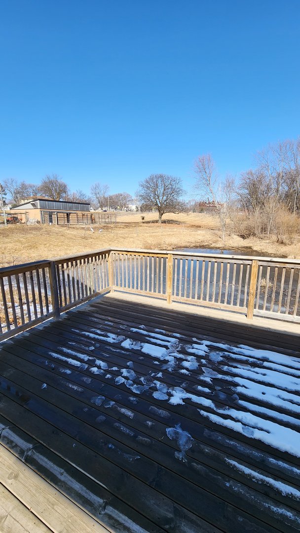 Bactrian Camel Exhibit