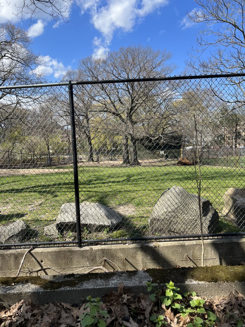 Bactrian Camel Exhibit
