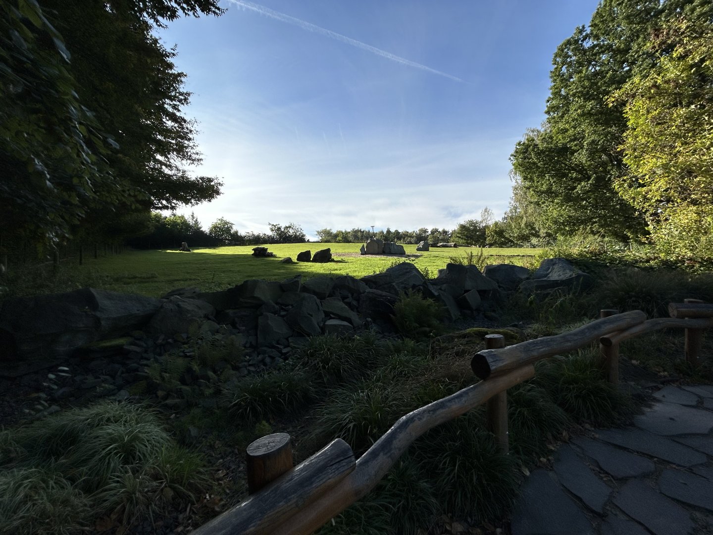 Bactrian Camel Exhibit