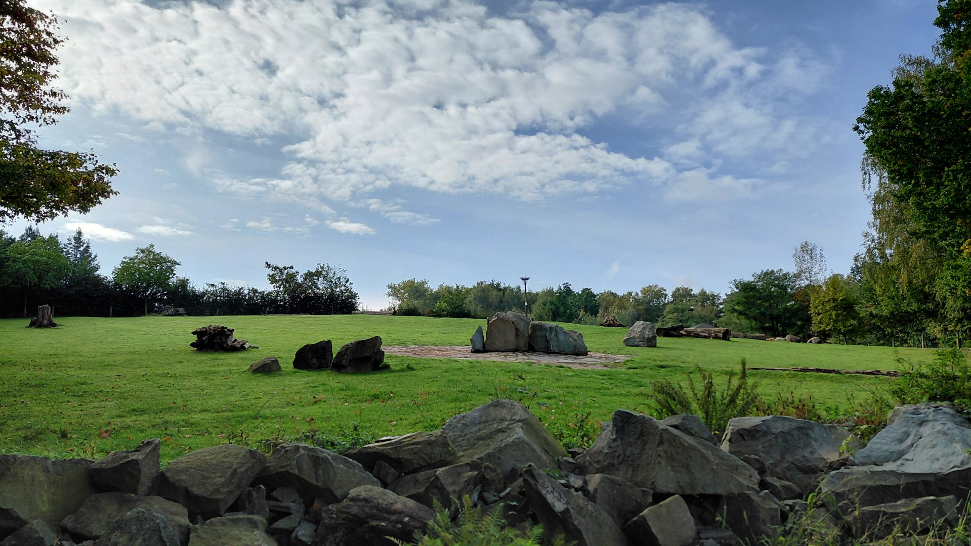 Bactrian camel exhibit