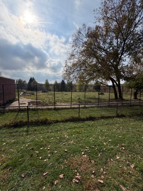 bactrian camel exhibit