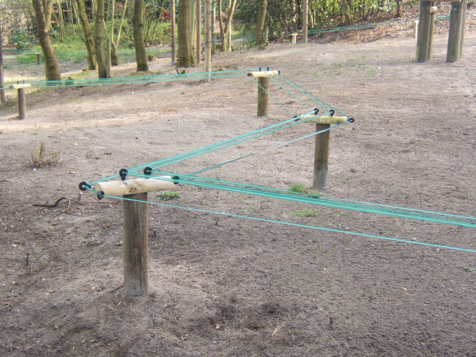 Bactrian Camel fence