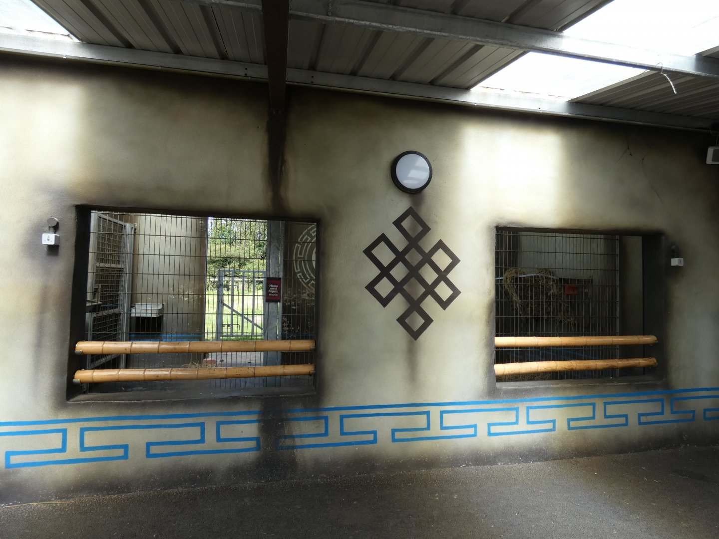 Bactrian Camel house