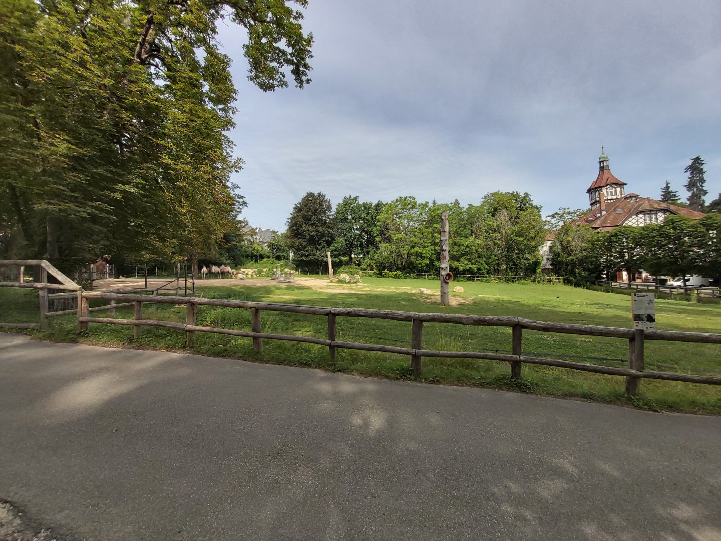 Bactrian camel & kulan enclosure