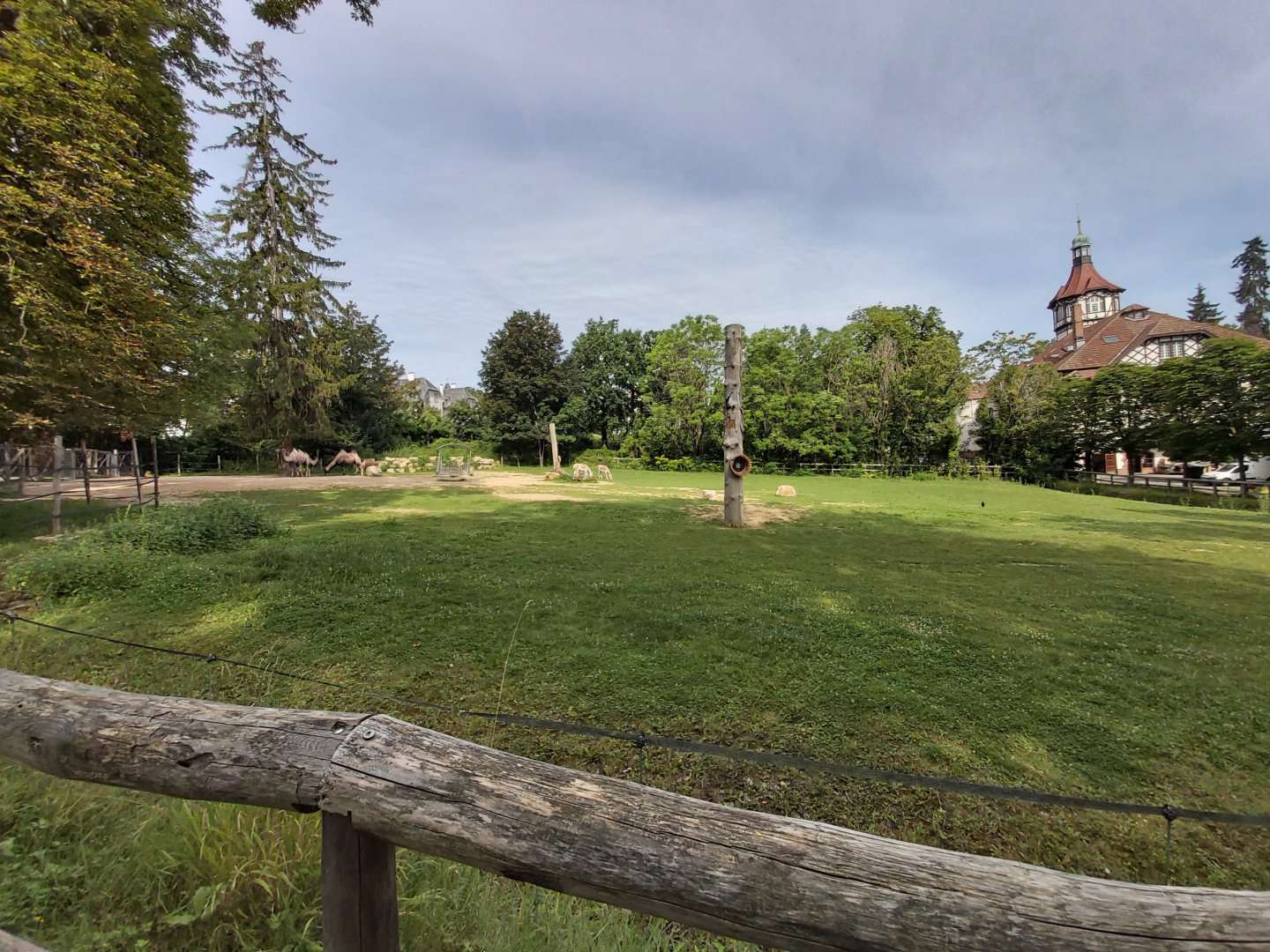 Bactrian camel & kulan enclosure