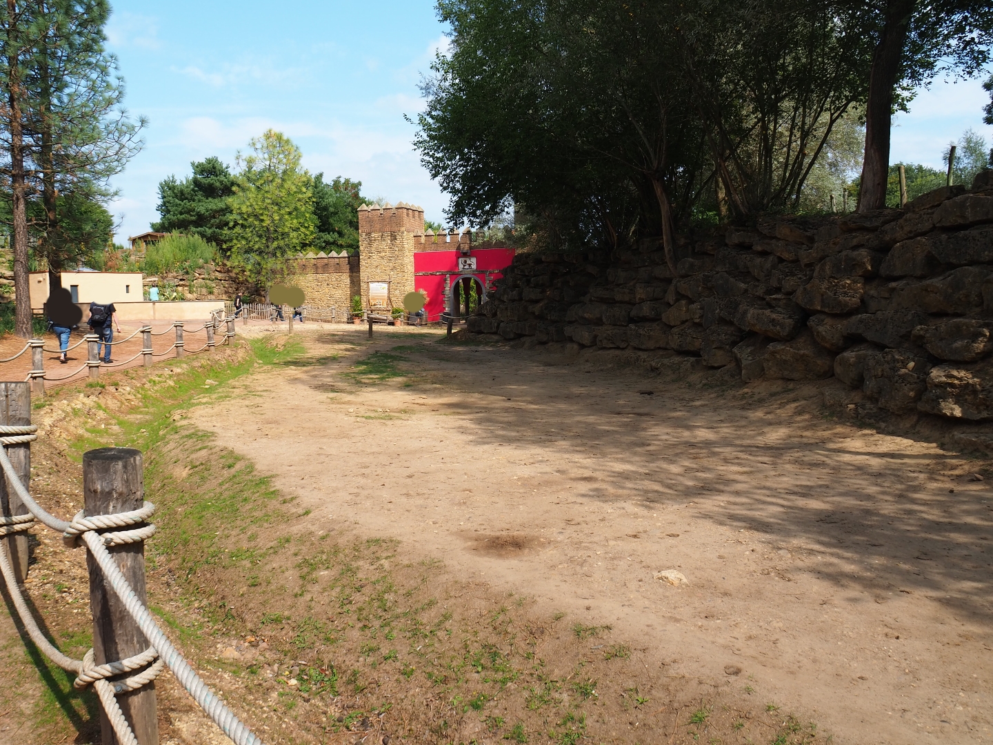 Bactrian camel padddock (Aug 28th, 2018)