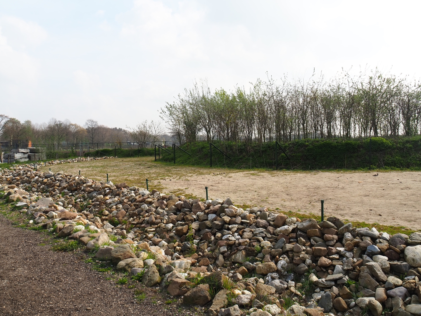 Bactrian camel paddock, 2019-04-06