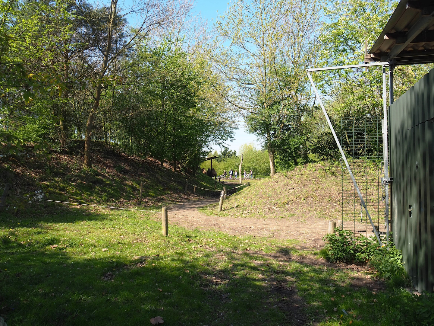 Bactrian camel paddock, 2023-04-30