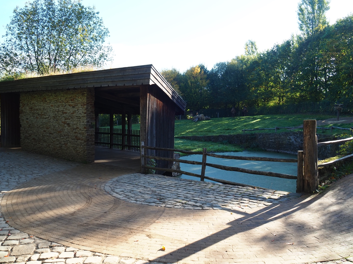Bactrian camel paddock and viewing shelter (Oct 13th, 2018)