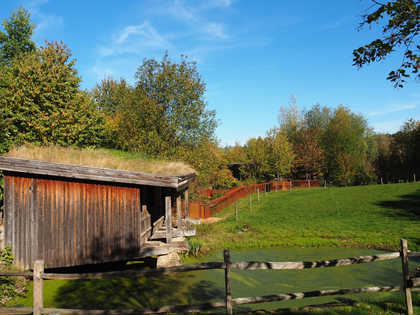 Bactrian camel paddock and viewing shelter (Oct 13th, 2018)
