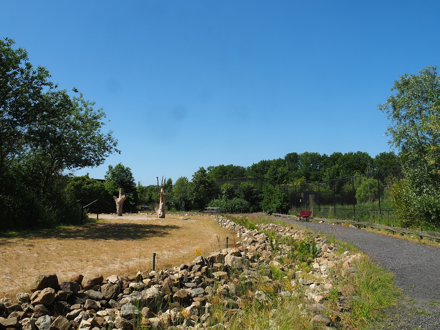 Bactrian camel paddock and walkway, 2023-05-31