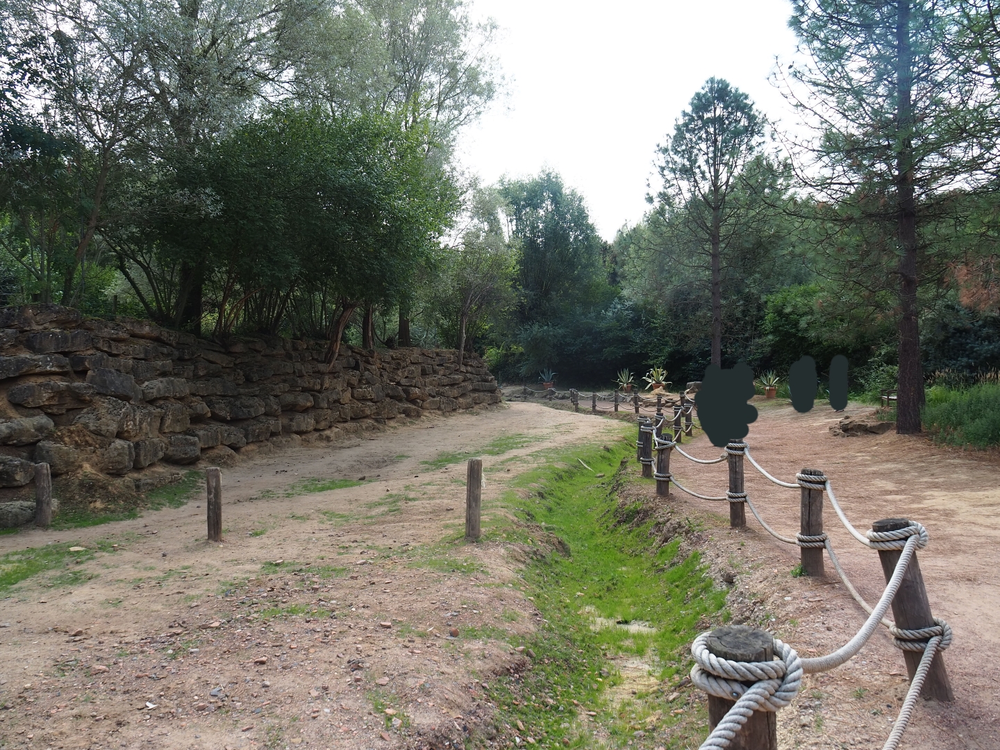 Bactrian camel paddock (Aug 28th, 2018)