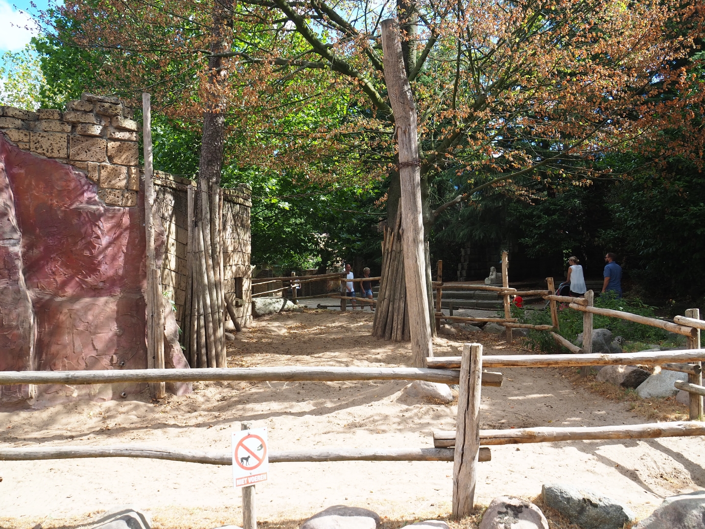 Bactrian camel paddock