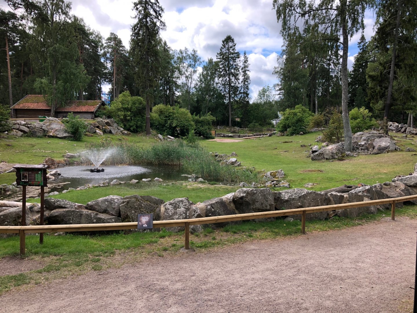 Bactrian camel paddock