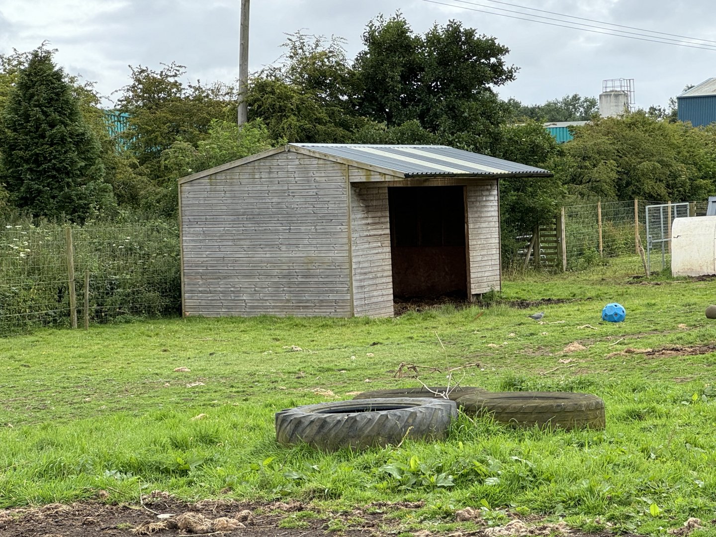Bactrian Camel Shelter at Bridlington Animal Park (July 2024)