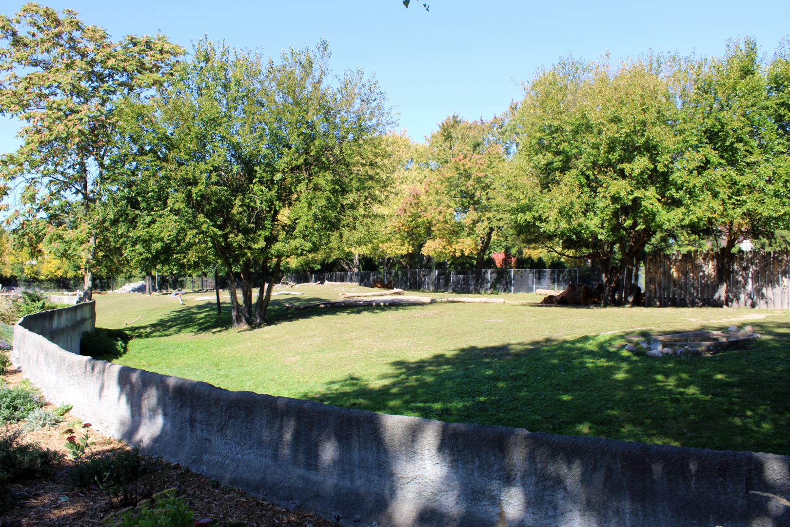 Bactrian Camel & White-lipped Deer Exhibit