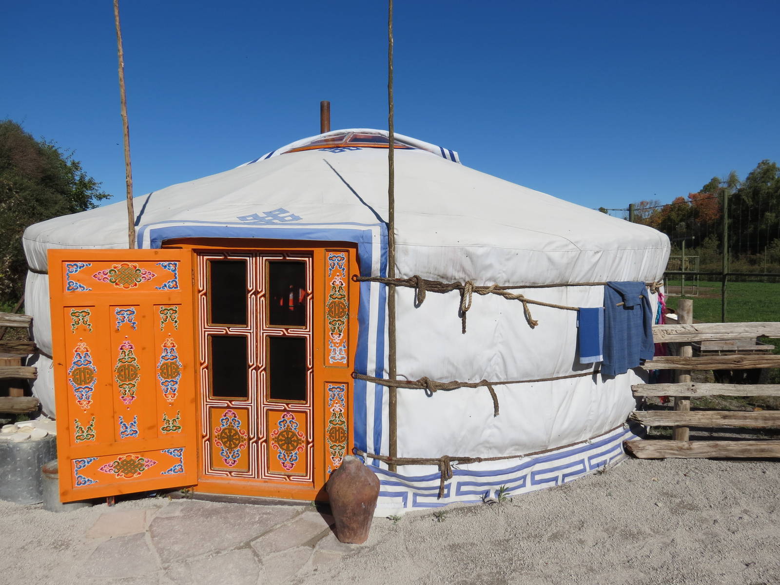 Bactrian Camel - yurt