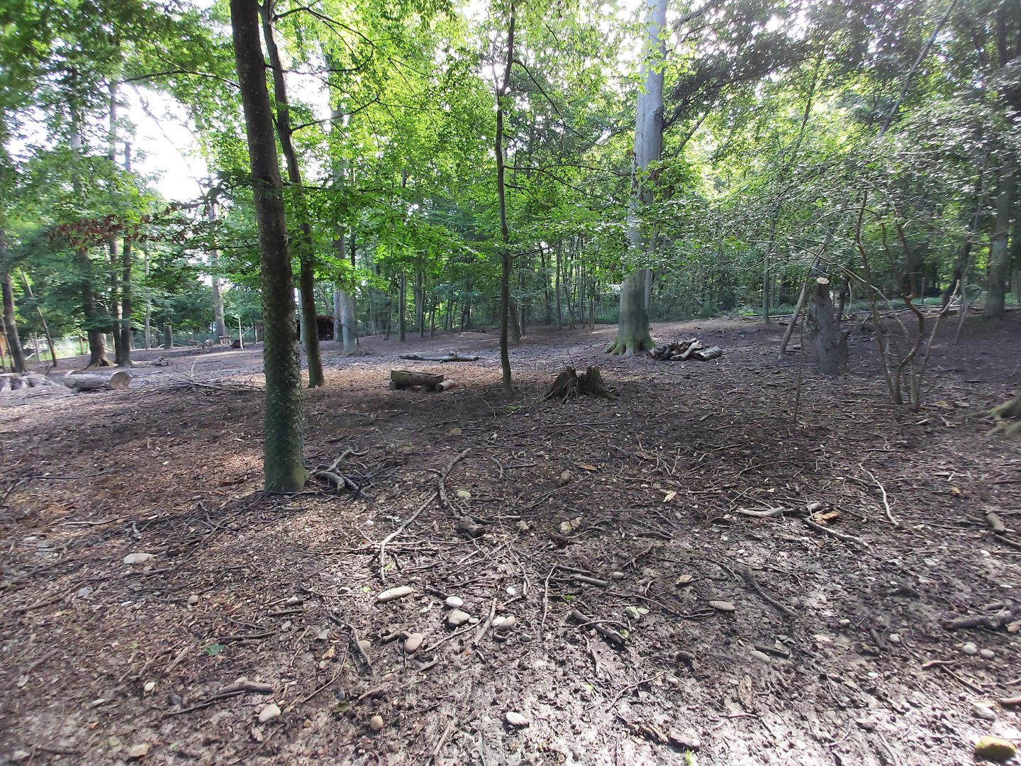 Bactrian deer enclosure