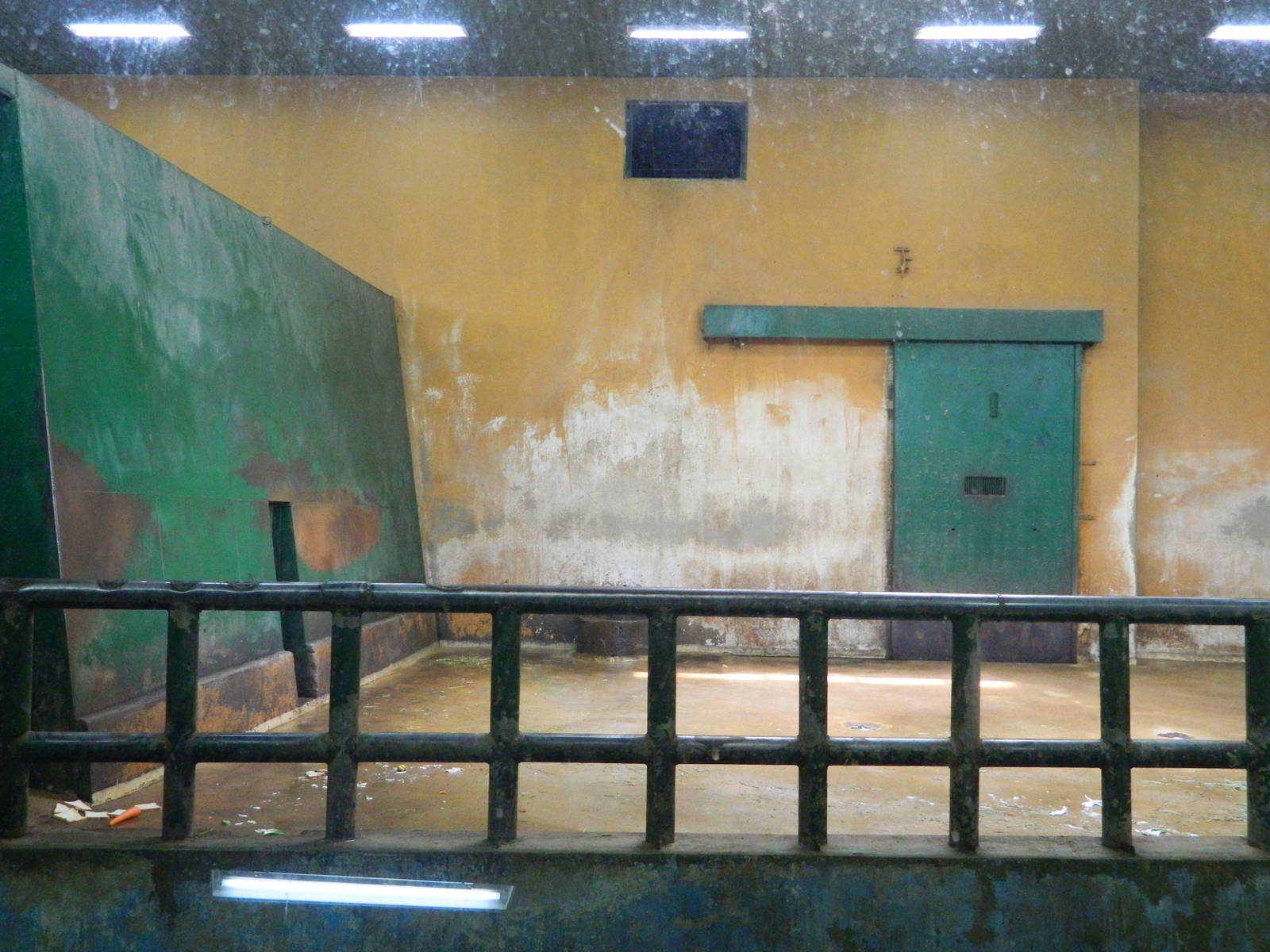 Bad Conditions for Elephant